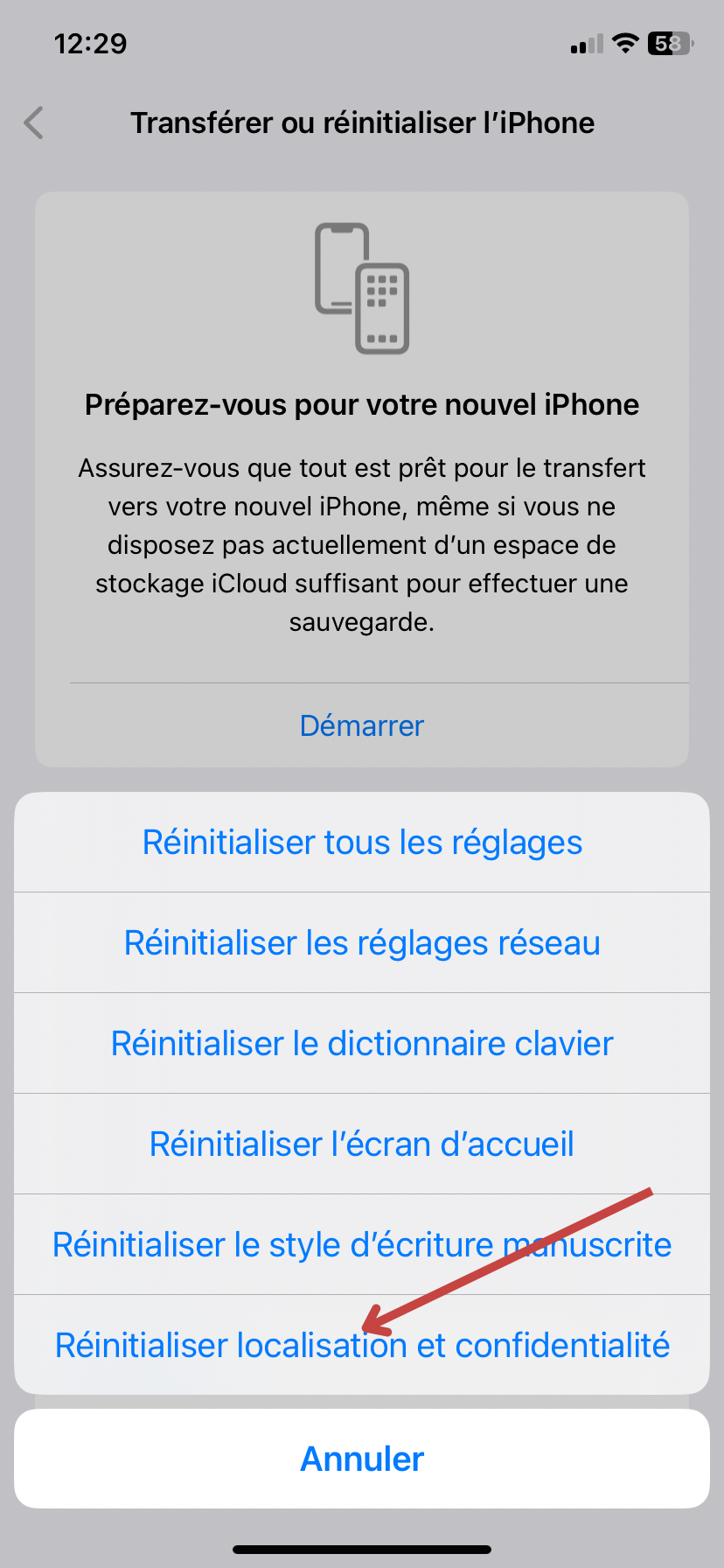 Puis, consultez « Réinitialiser », dans la rubrique « Général », dans « Paramètres » afin de réinitialiser la localisation et la confidentialité.
