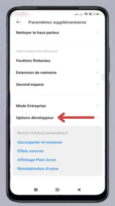 cliquez sur "Système" pour trouver « Option développeur ». Vous pourrez alors activer « Déverouillage OEM ».