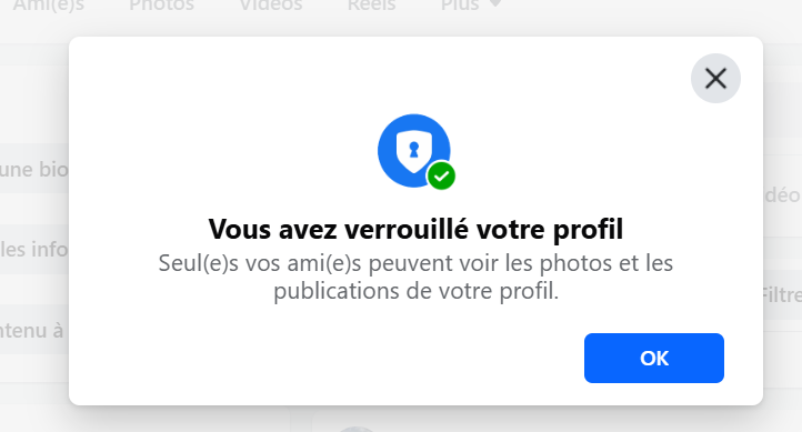 Confirmez votre décision lorsque la fenêtre s’ouvre et n’oubliez pas de lire les différentes informations.
