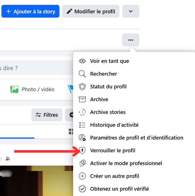 Cliquez sur verrouiller le profil dans le menu déroulant.