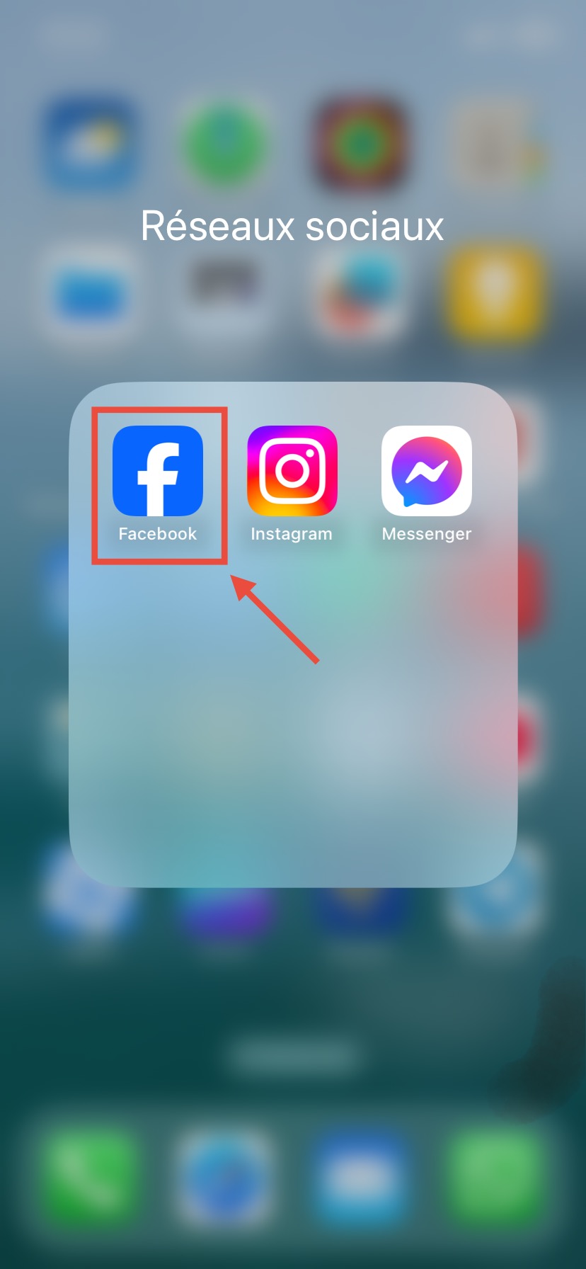 Ouvrez l’application Facebook et renseignez vos identifiants personnels (adresse mail et mot de passe).